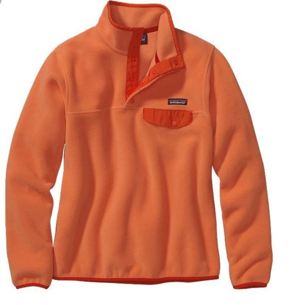 Patagonia Women's Synchilla Fleece Pullover